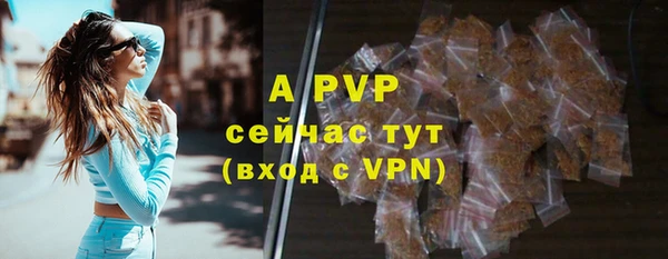 гидра Бородино