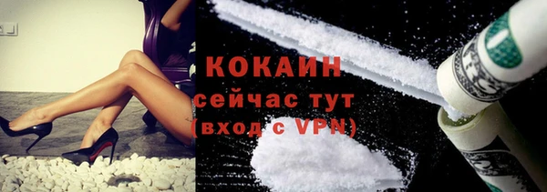 гидра Бородино