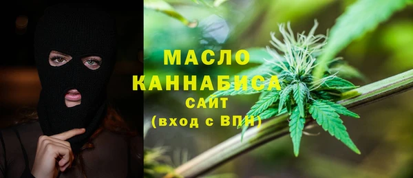 гидра Бородино