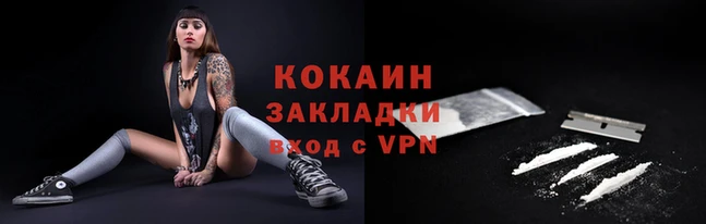 гидра Бородино