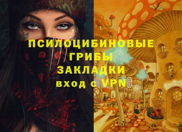 гидра Бородино