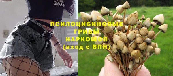 гидра Бородино