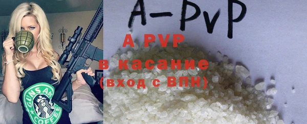 гидра Бородино