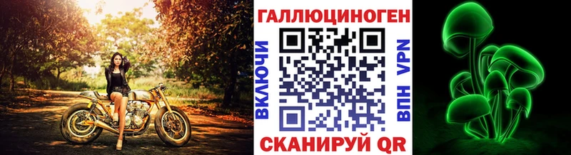 мега ССЫЛКА  как найти закладки  Городец  Псилоцибиновые грибы Psilocybe 