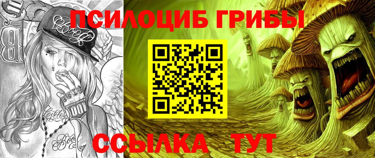 Псилоцибиновые грибы Psilocybe  Галлюциногенные грибы Magic Shrooms  Вход с VPN  Городец 