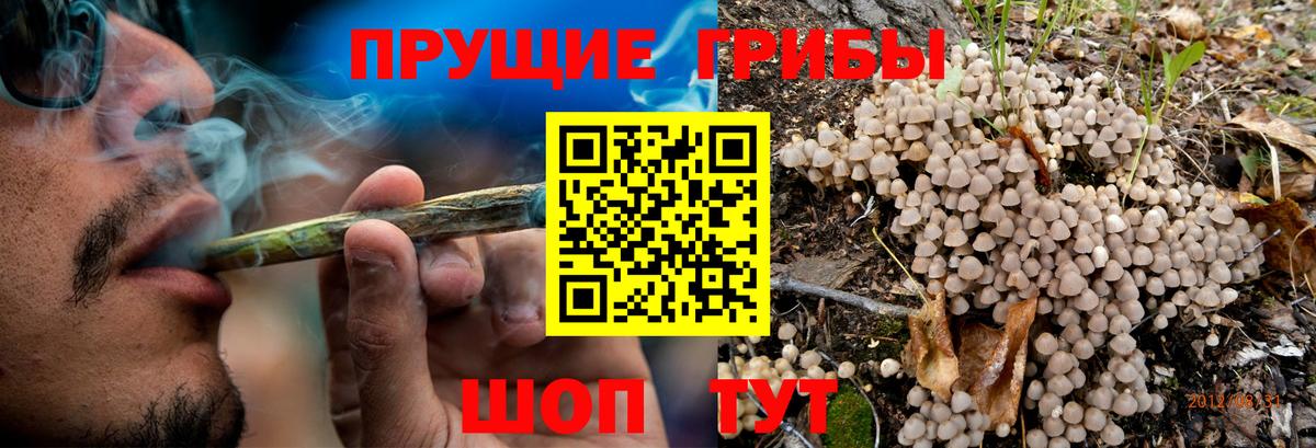Галлюциногенные грибы ЛСД Городец